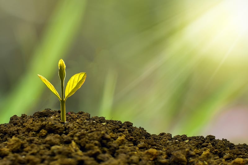 Sustainability Image
